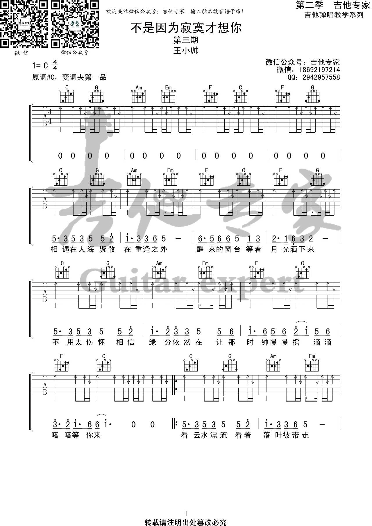 不是因为寂寞才想你吉他谱 C调_吉他专家编配_王小帅