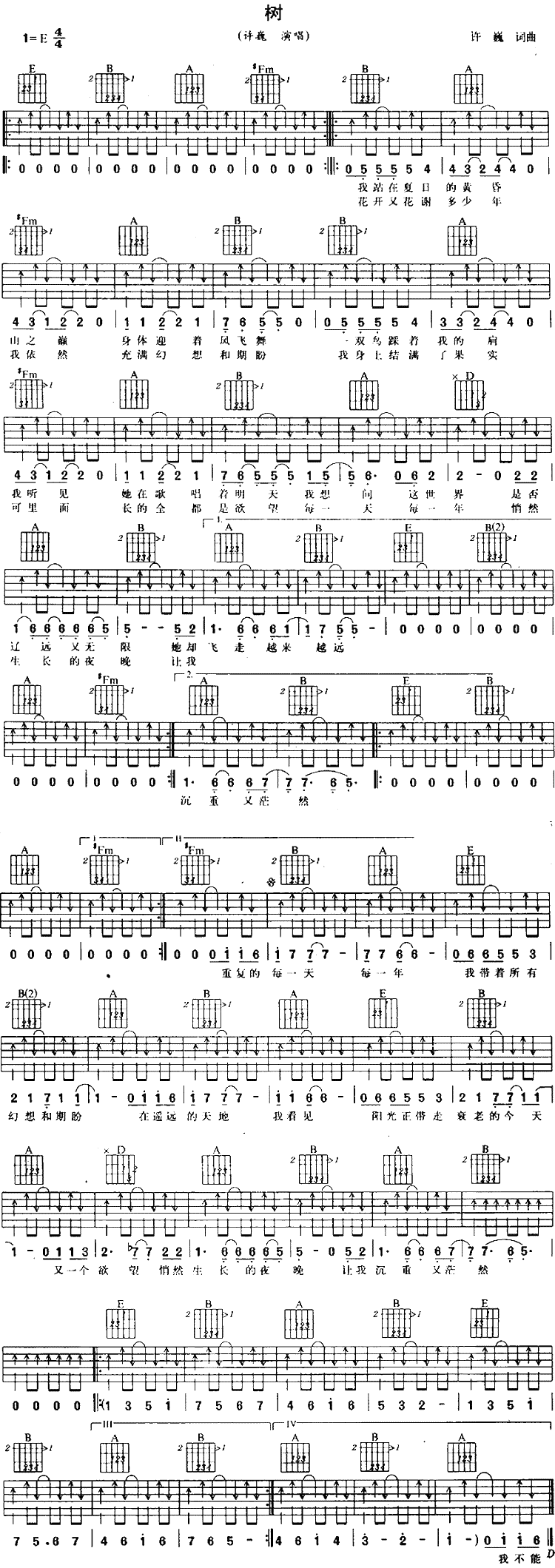 树吉他谱 E调六线谱_扫弦版_许巍