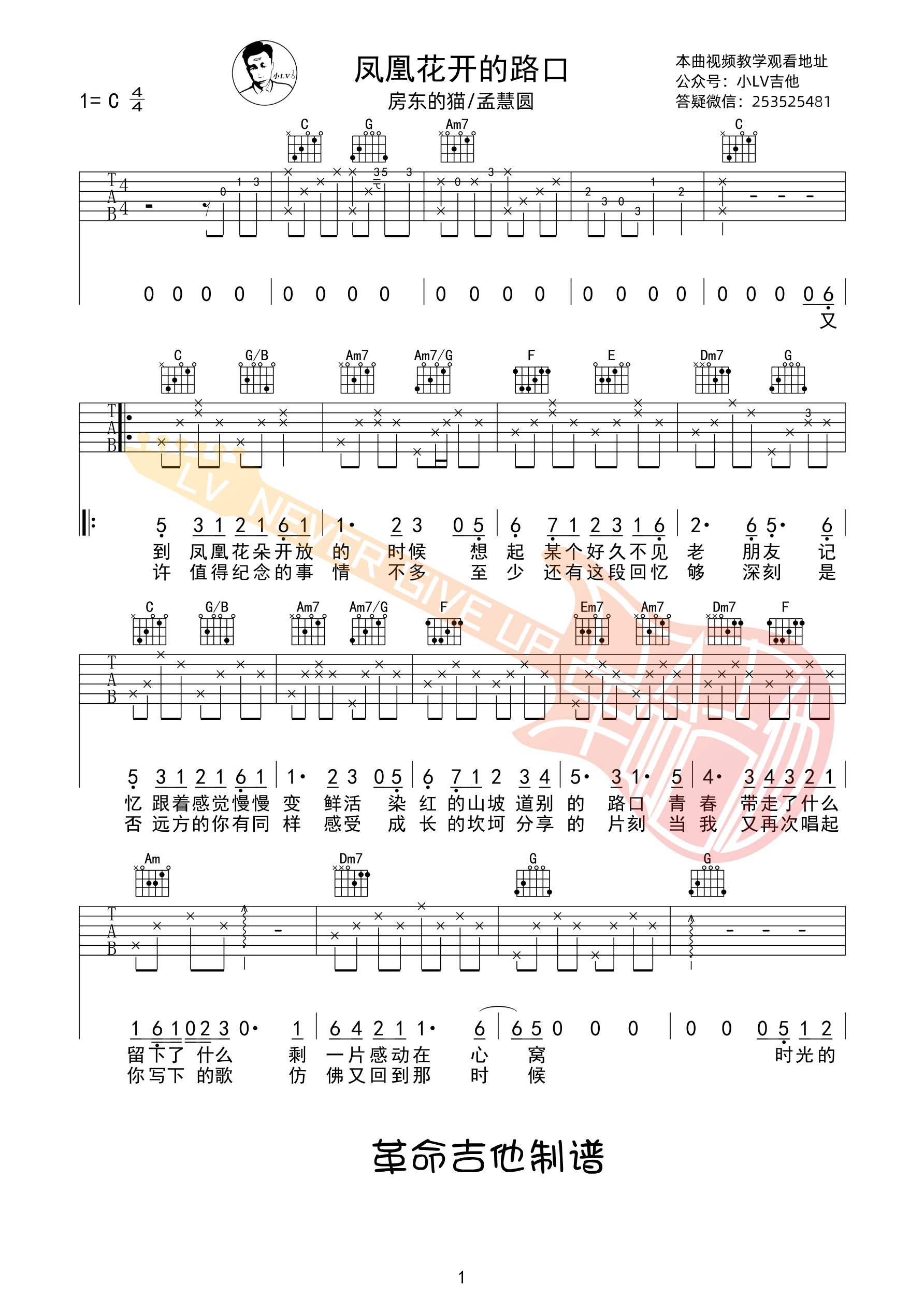 凤凰花开的路口吉他谱_房东的猫/孟慧圆C调吉他谱