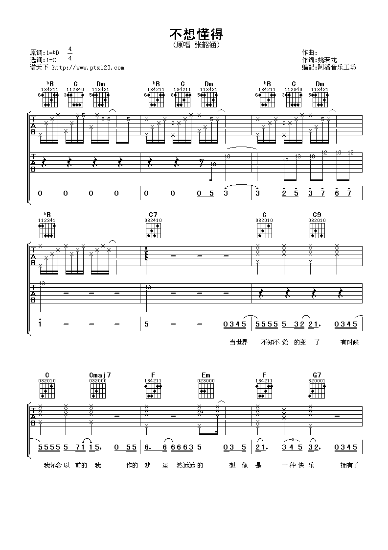 不想懂得吉他谱 C调_阿潘音乐工场编配_张韶涵
