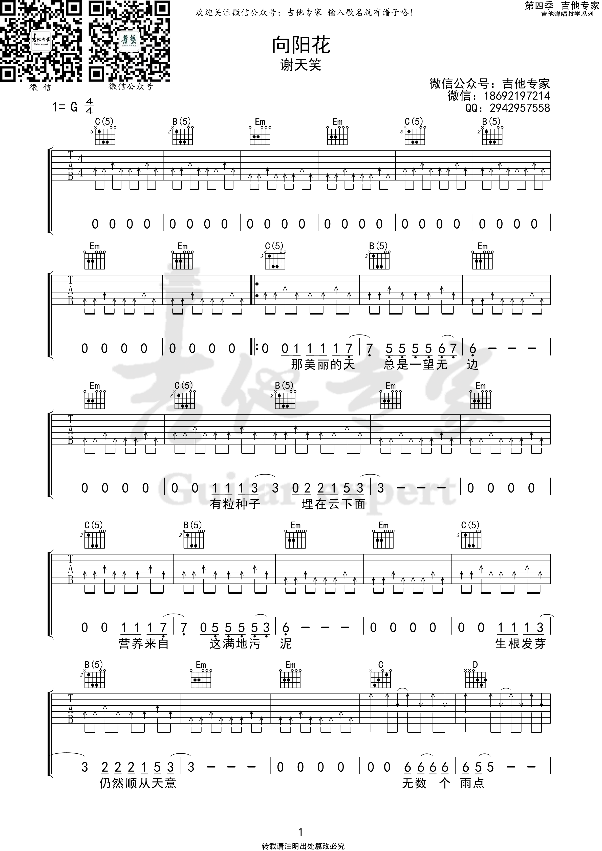 向阳花吉他谱（吉他专家）谢天笑