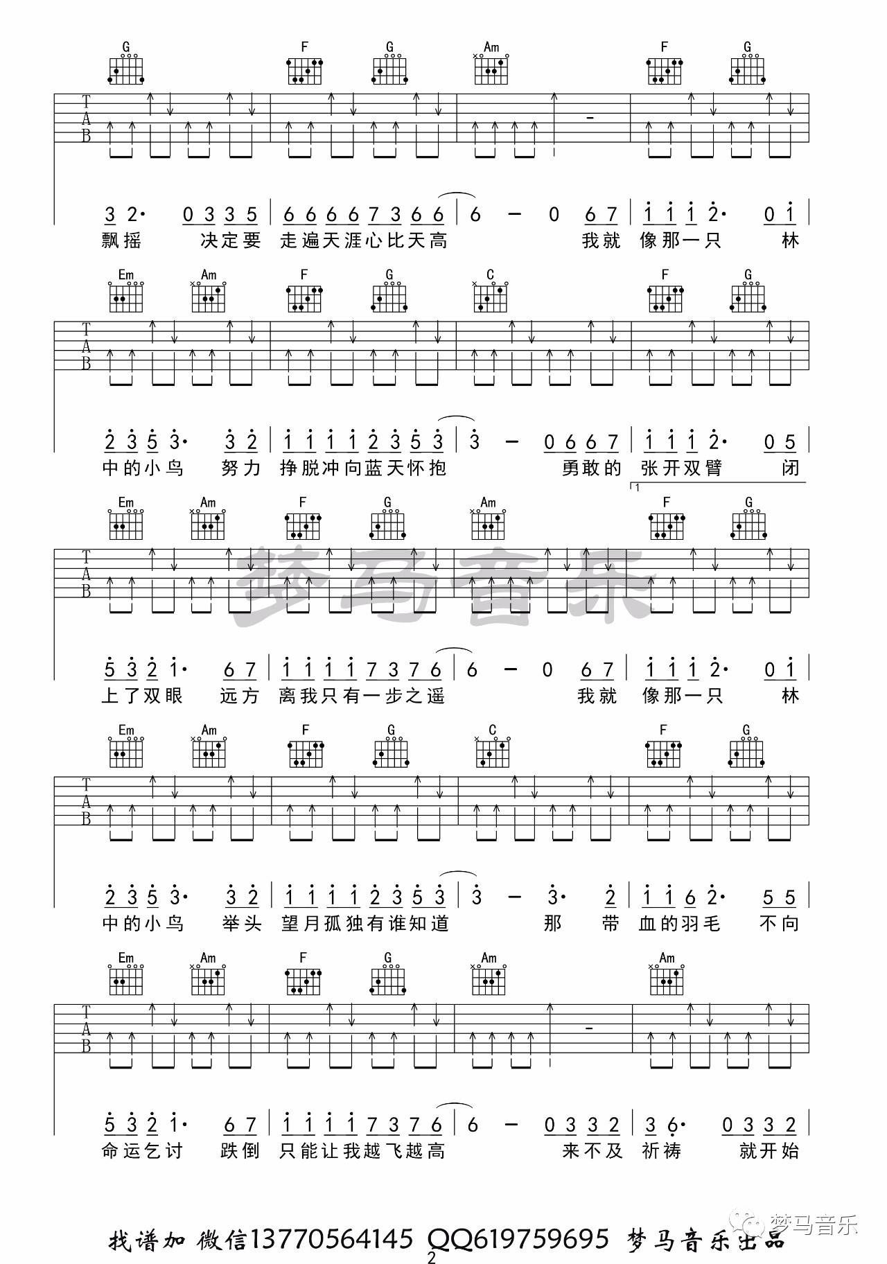 林中鸟吉他谱 C调_梦马音乐编配_葛林