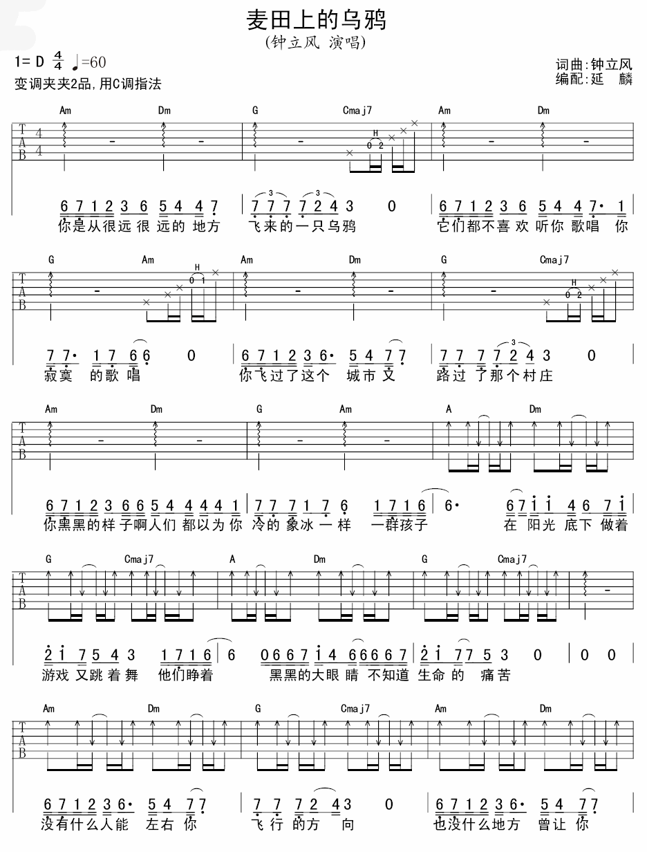 麦田上的乌鸦吉他谱 D调扫弦版_延麟编配_钟立风