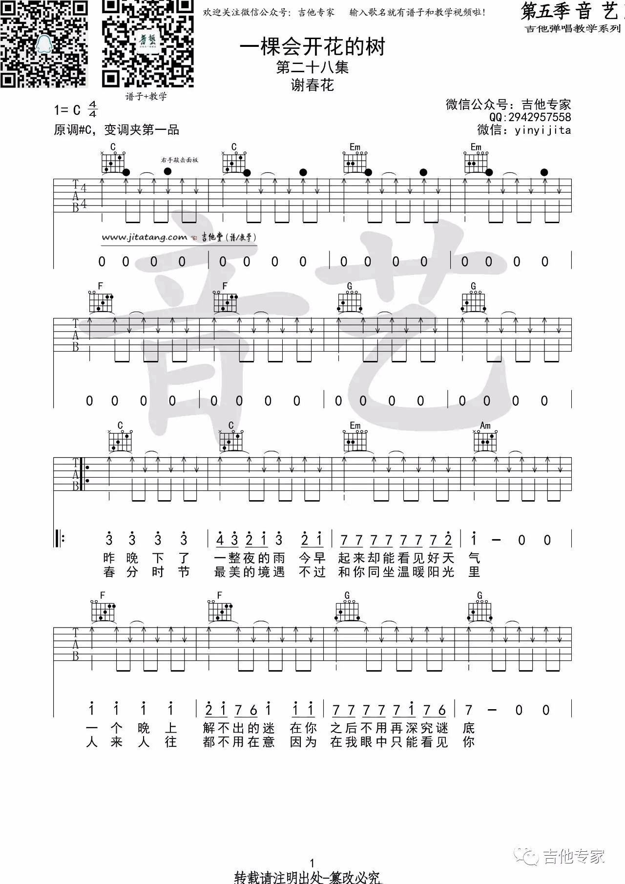 一棵会开花的树吉他谱 C调_音艺吉他编配_谢春花