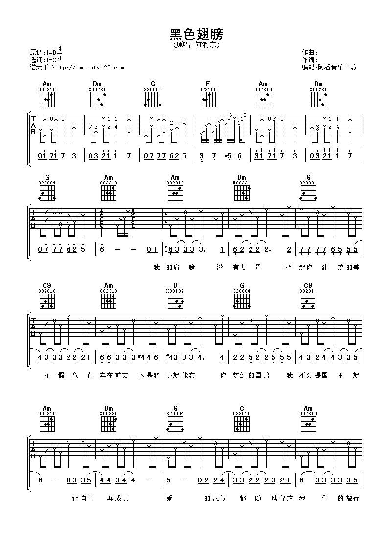 黑色翅膀吉他谱 C调六线谱_阿潘音乐工场编配_何润东