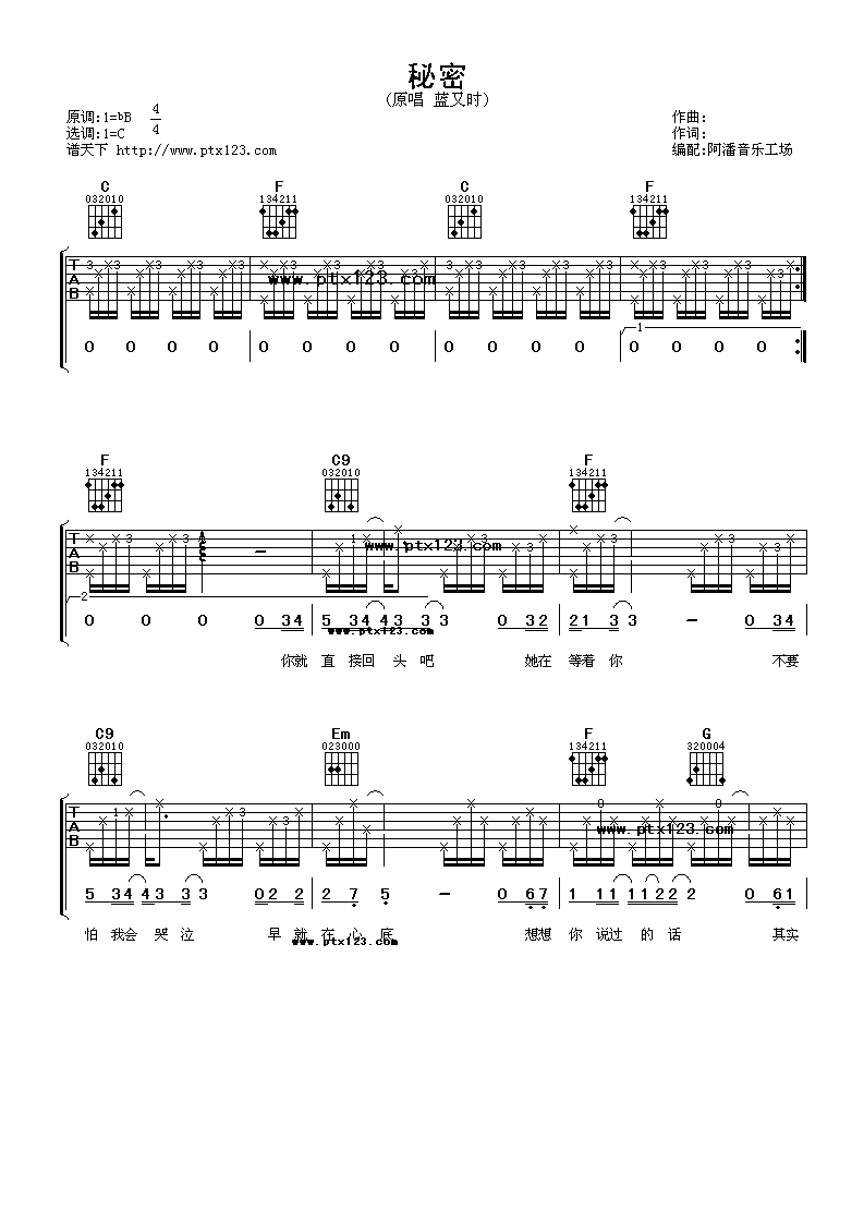 秘密吉他谱 C调_阿潘音乐工场编配_蓝又时