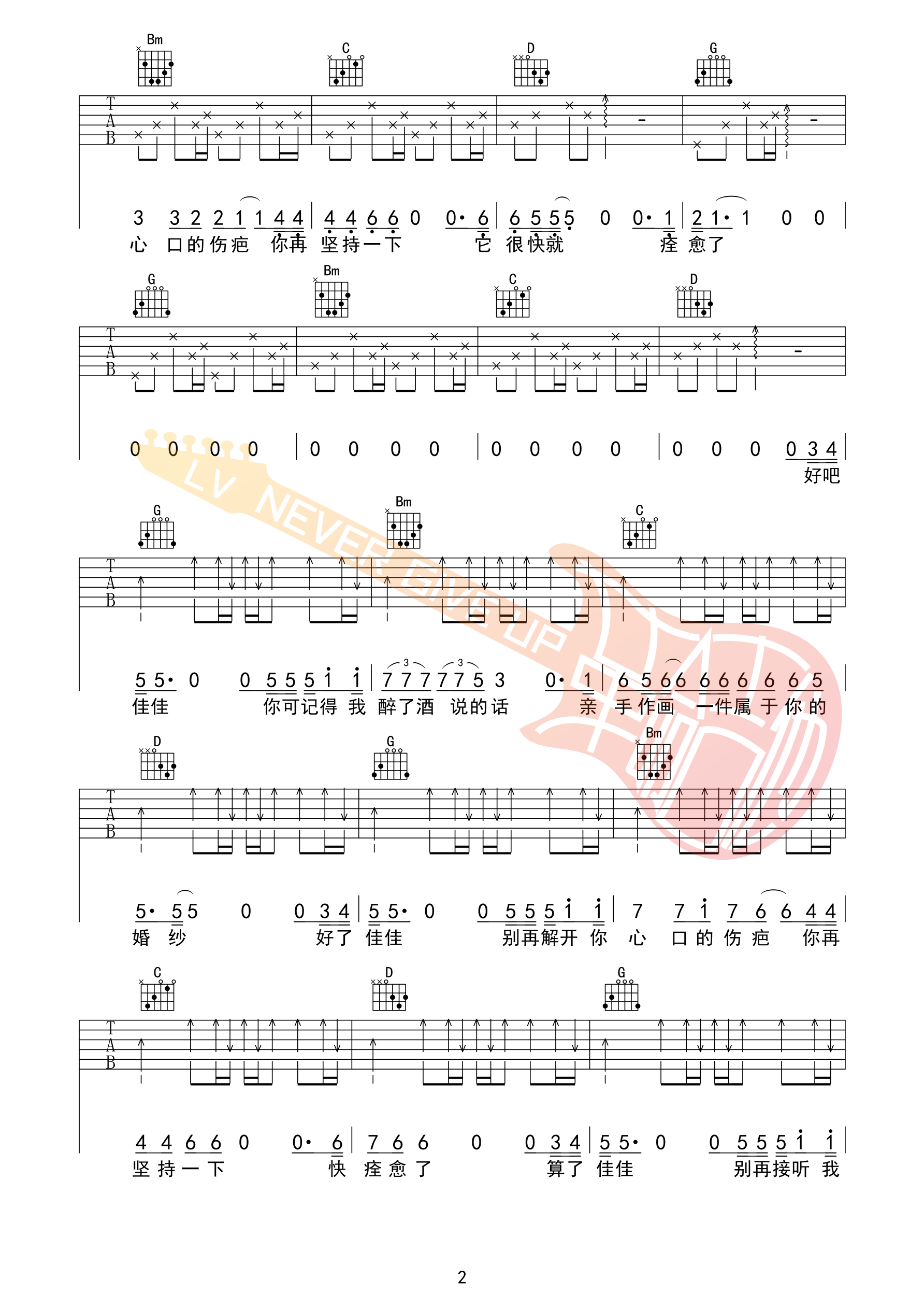张昱铭佳佳吉他谱弹唱谱 革命吉他版