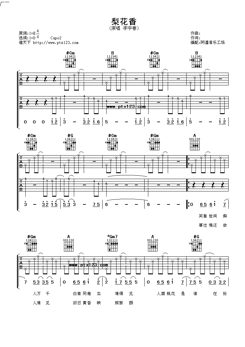 梨花香吉他谱 D调_阿潘音乐工场编配_李宇春