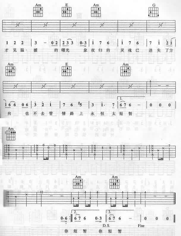 都是夜归人吉他谱 C调六线谱_简单版_许美静