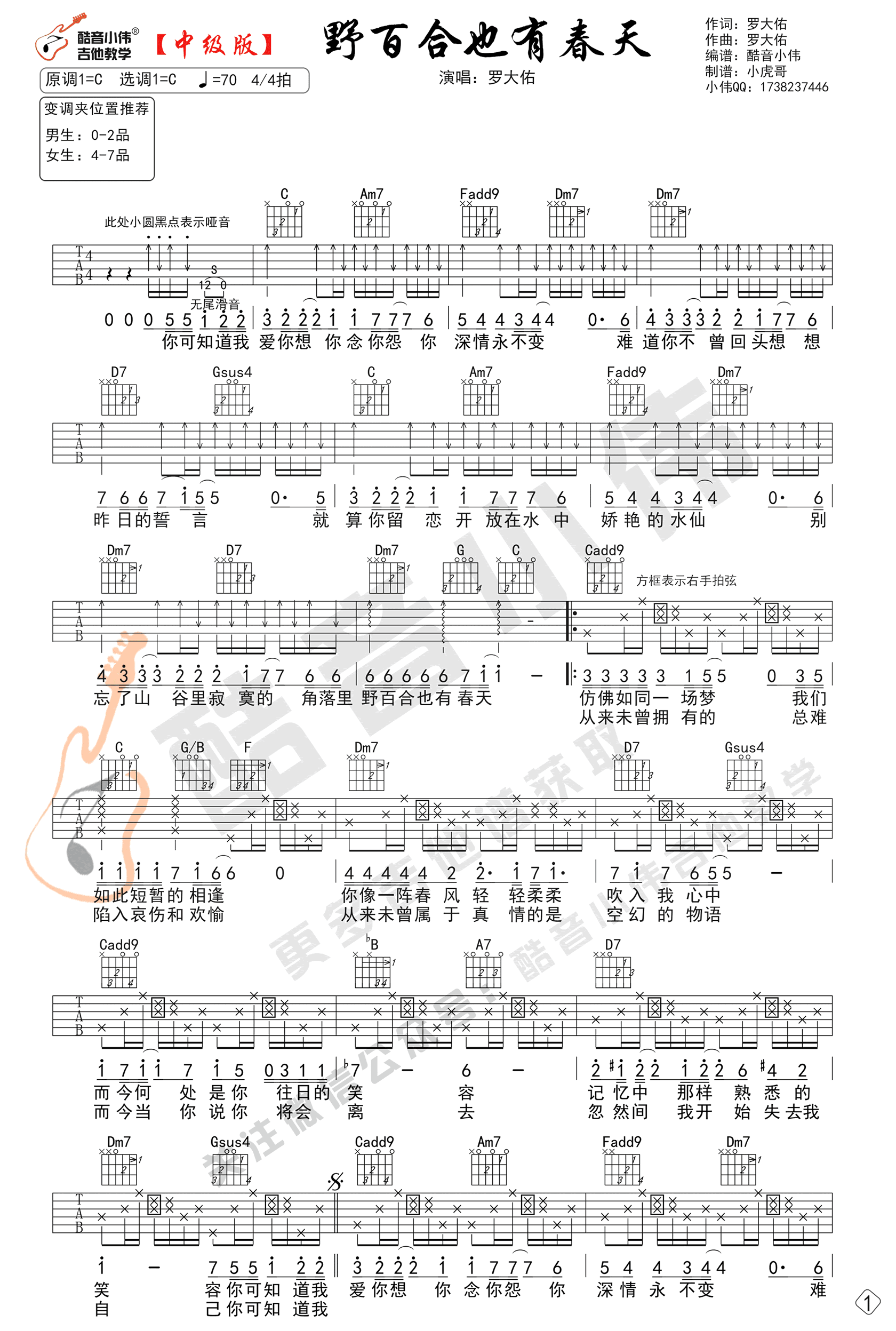 野百合也有春天吉他谱 C调弹唱谱_罗大佑_酷音小伟制谱