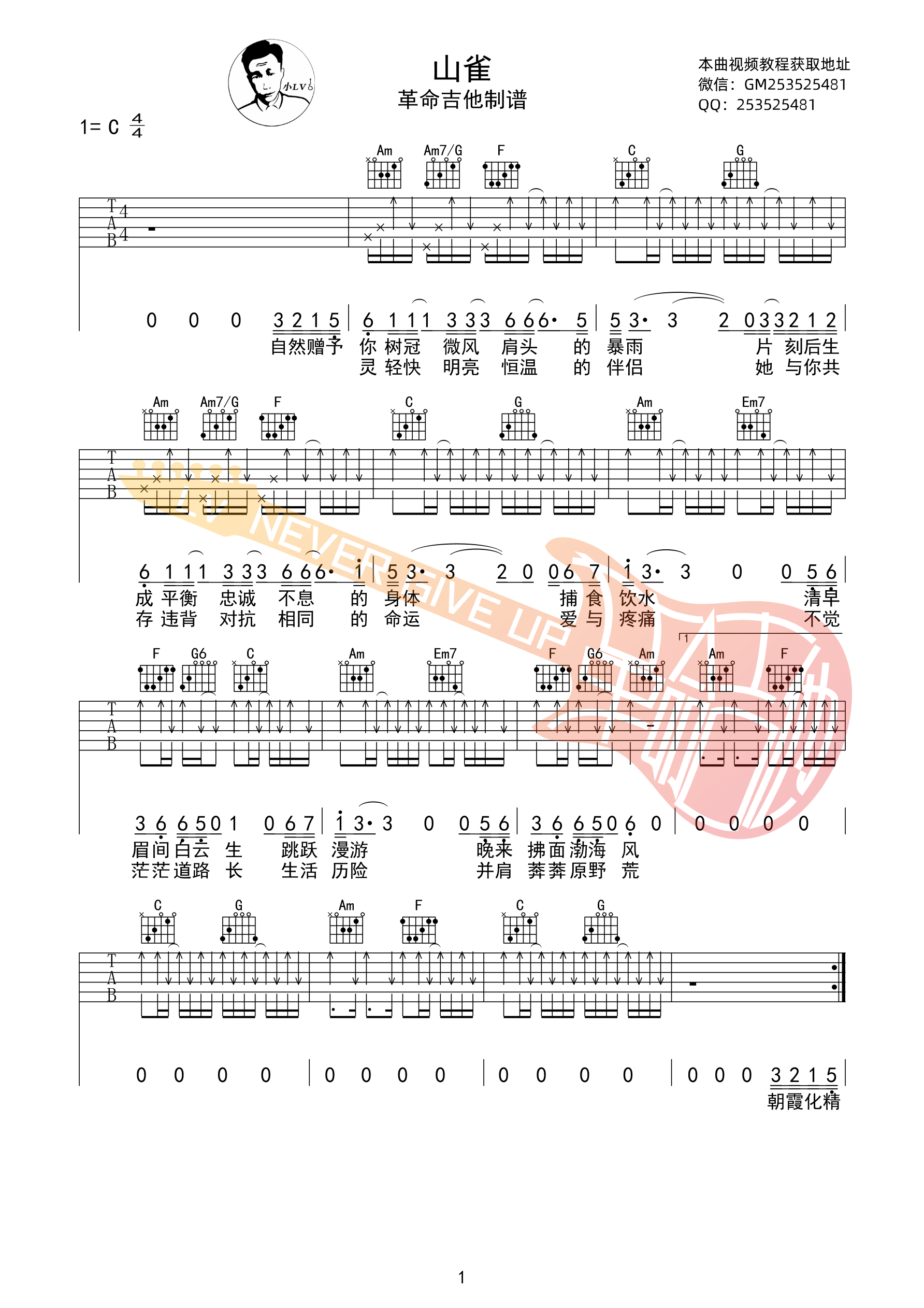 山雀吉他谱 C调扫弦版_革命吉他编配_万青