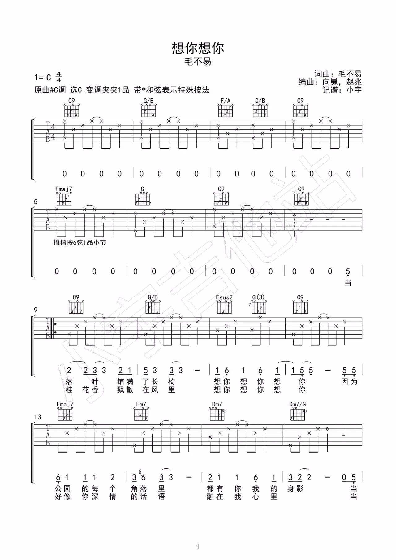 想你想你吉他谱 C调_小宇吉他编配_毛不易