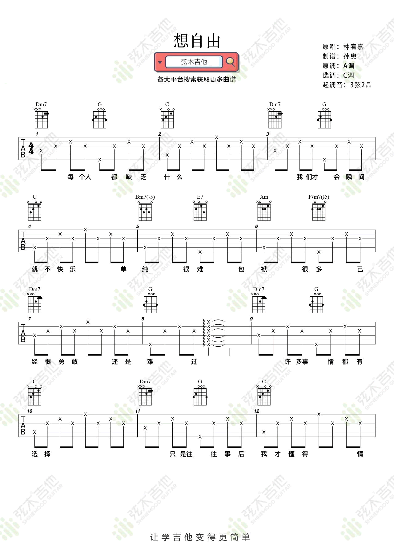 想自由吉他谱 C调弹唱谱_林宥嘉_弦木吉他制谱