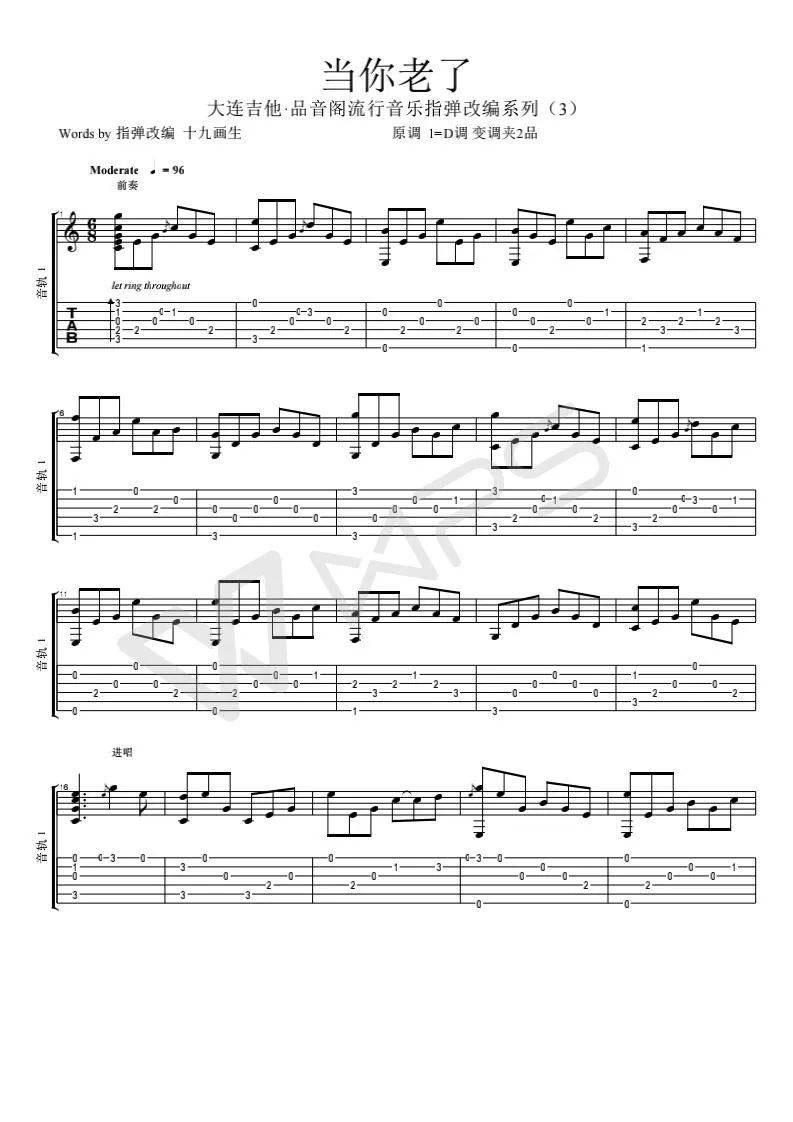 当你老了吉他谱 吉他指弹改编独奏_附演示视频_品音阁编配_赵照