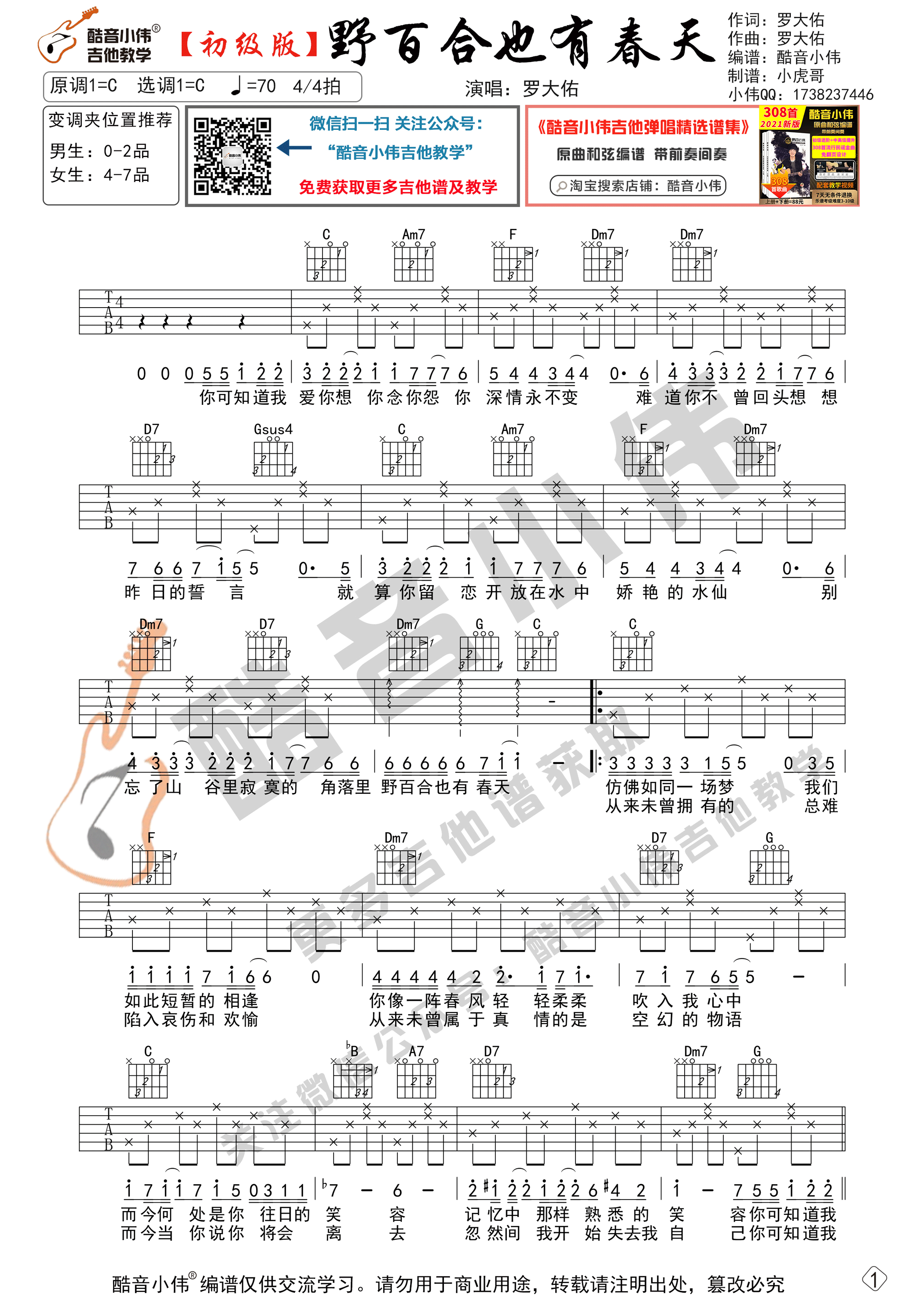 野百合也有春天吉他谱C调初级版_酷音小伟编谱_罗大佑