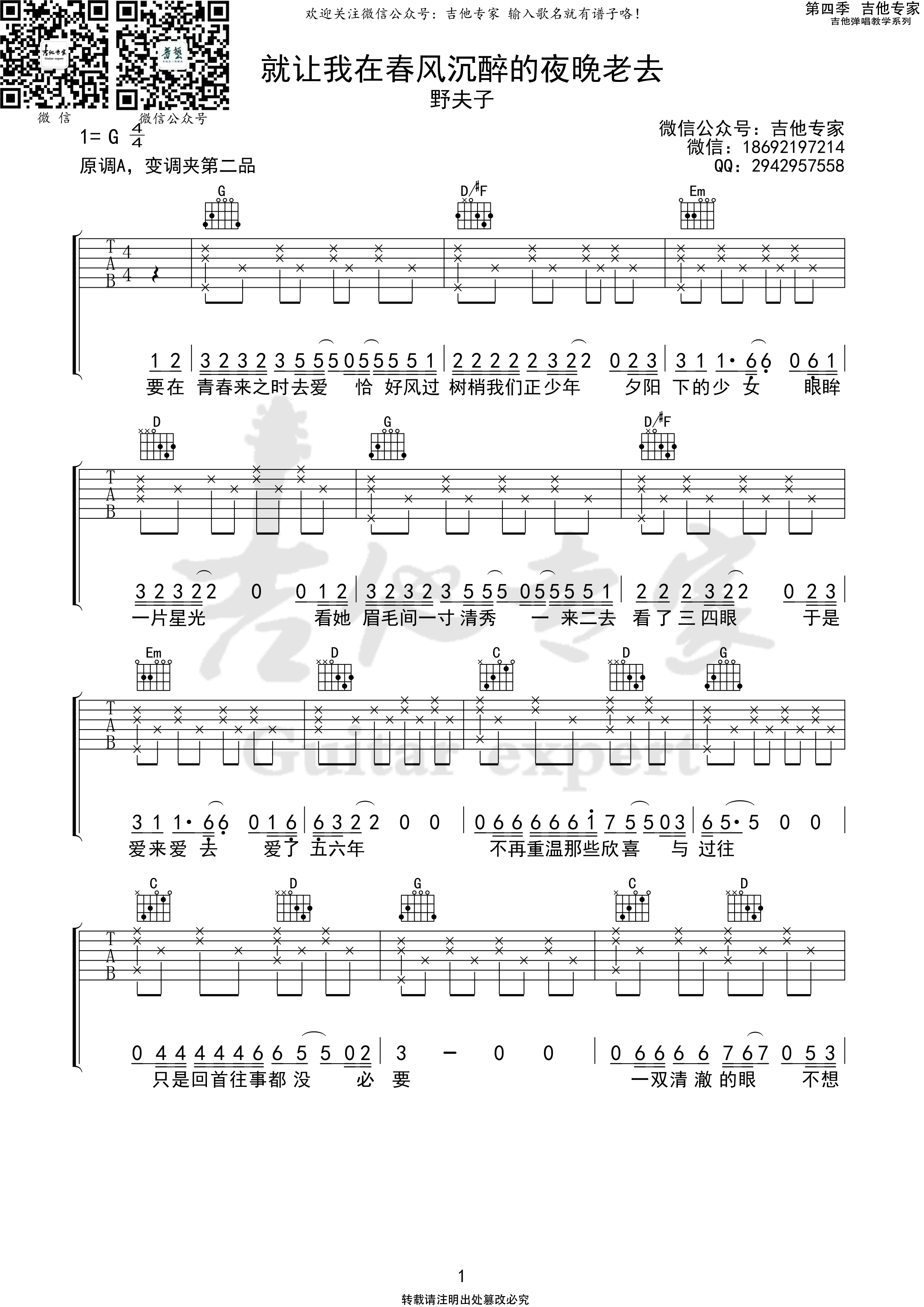 就让我在春风沉醉的夜晚老去吉他谱 野夫子 吉他专家