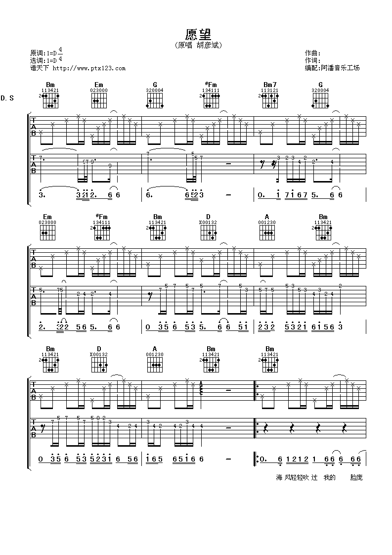 愿望吉他谱 D调六线谱_阿潘音乐工场编配_胡彦斌