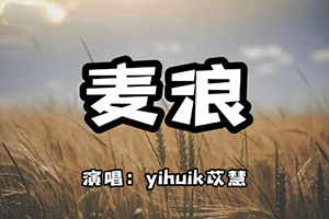 麦浪吉他谱_C调弹唱谱_苡慧《麦浪》六线谱