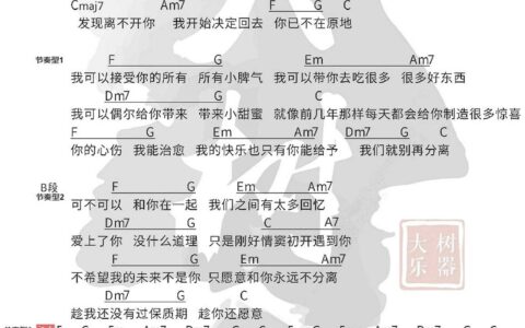 可不可以吉他谱 C调附教程版_大树音乐编配_张紫豪