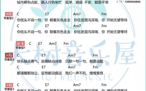 光吉他谱 C调附视频教学_大树音乐屋编配_陈粒