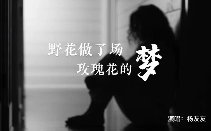 野花做了场玫瑰花的梦吉他谱_杨友友_C调原版_吉他弹唱六线谱