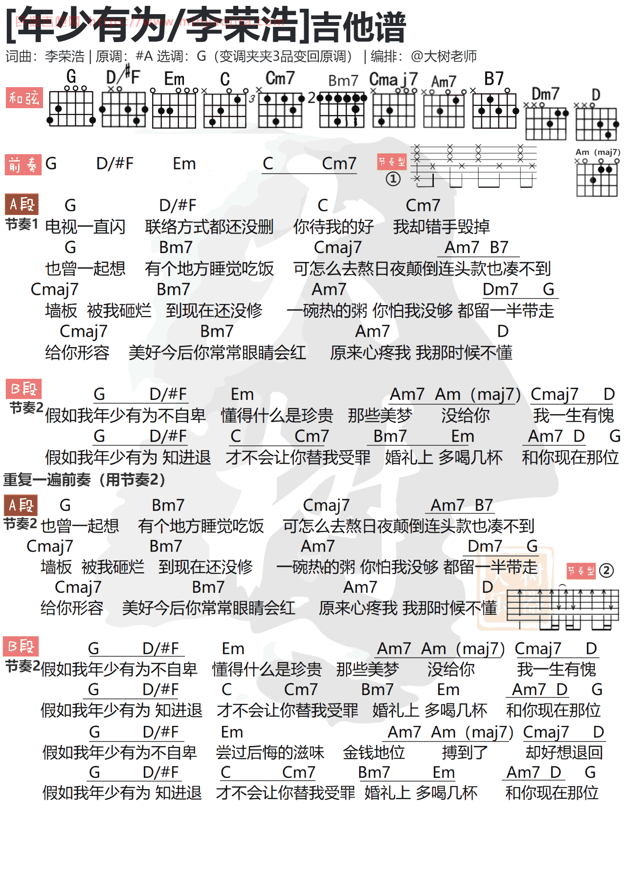 年少有为吉他谱 G调简单版_大树乐器编配_李荣浩