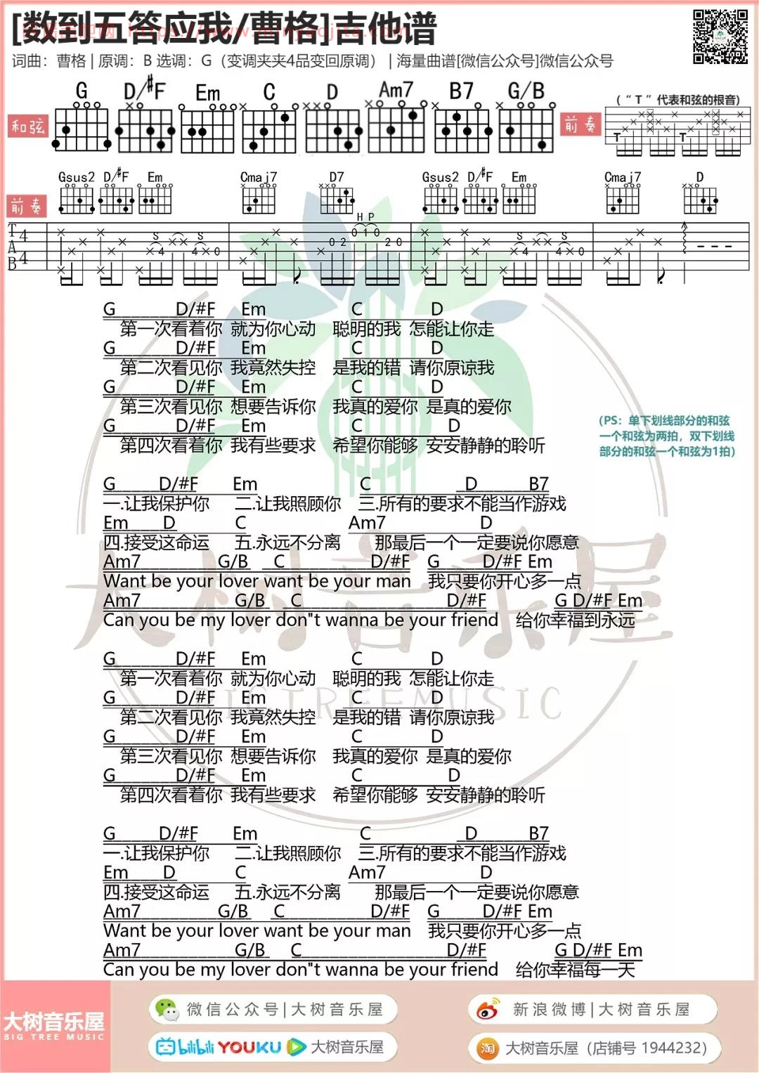 数到五答应我吉他谱 G调附前奏_大树音乐屋编配_曹格