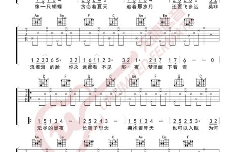 蝴蝶之夏吉他谱 C调_无限延音编配_房东的猫