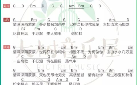 情深深雨蒙蒙吉他谱 G调高清版_大树音乐屋编配_赵薇
