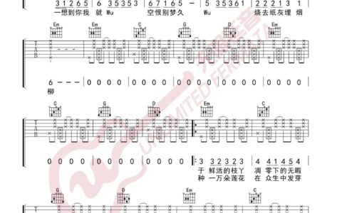 芒种吉他谱 G调高清版_无限延音编配_赵方婧