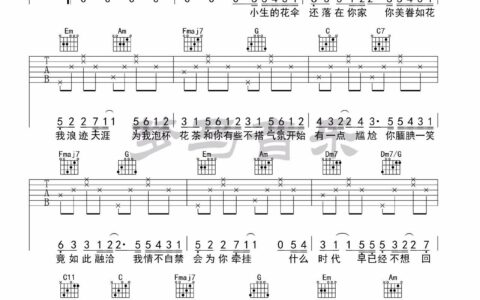 浪人琵琶吉他谱 C调弹唱演示版_梦马音乐编配_胡66