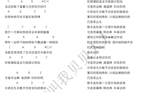 华年吉他谱 E调_叫我贝贝大人编配_鹿先森乐队