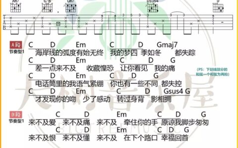来不及吉他谱 G调_大树音乐屋编配_刘瑞琦