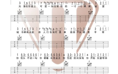 光吉他谱 C调附视频教学_西二吉他编配_陈粒