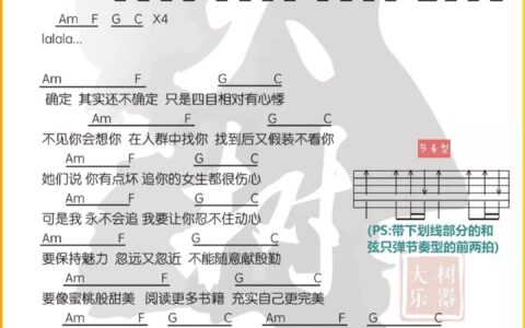 爱的魔法吉他谱 C调和弦谱_大树音乐屋编配_金莎