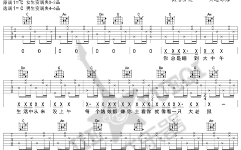屌丝之歌吉他谱 C调女生版_八戒乐器编配_花粥