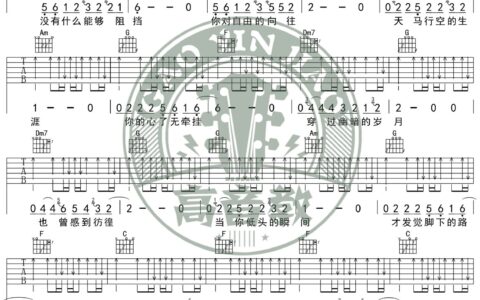 蓝莲花吉他谱 C调简单版_高音教编配_许巍