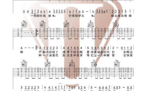 芒种吉他谱 G调原版_西二吉他编配_赵方婧