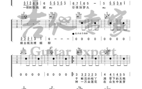 芒种吉他谱 G调六线谱_音艺吉他编配_赵方婧