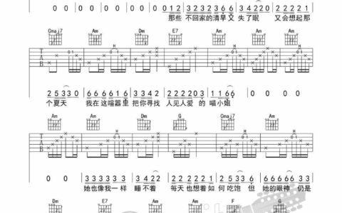 再见吧喵小姐吉他谱 G调_果木浪子编配_王晓天
