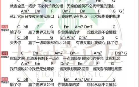 输了你赢了世界又如何吉他谱 C调_大树音乐屋编配_林俊杰