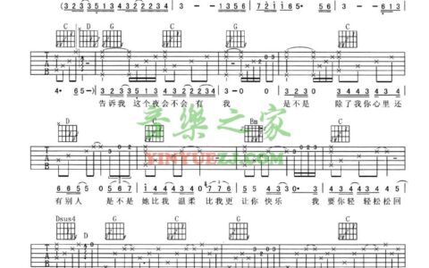 那片海吉他谱 G调附前奏_音乐之家编配_韩红