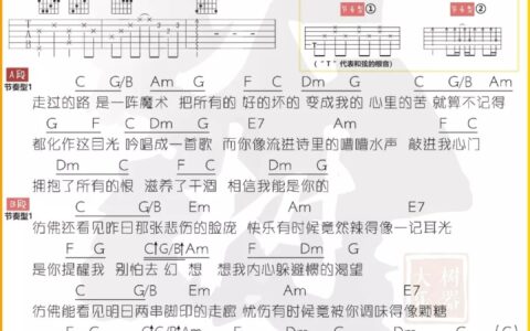 你被写进我的歌里吉他谱 C调_大树音乐屋编配_苏打绿