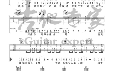 你的酒馆对我打了烊吉他谱 C调高清版_音艺吉他编配_陈雪凝