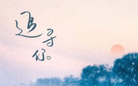 追寻你吉他谱_王天戈/川青_原调C调选G调编配_弹唱六线谱