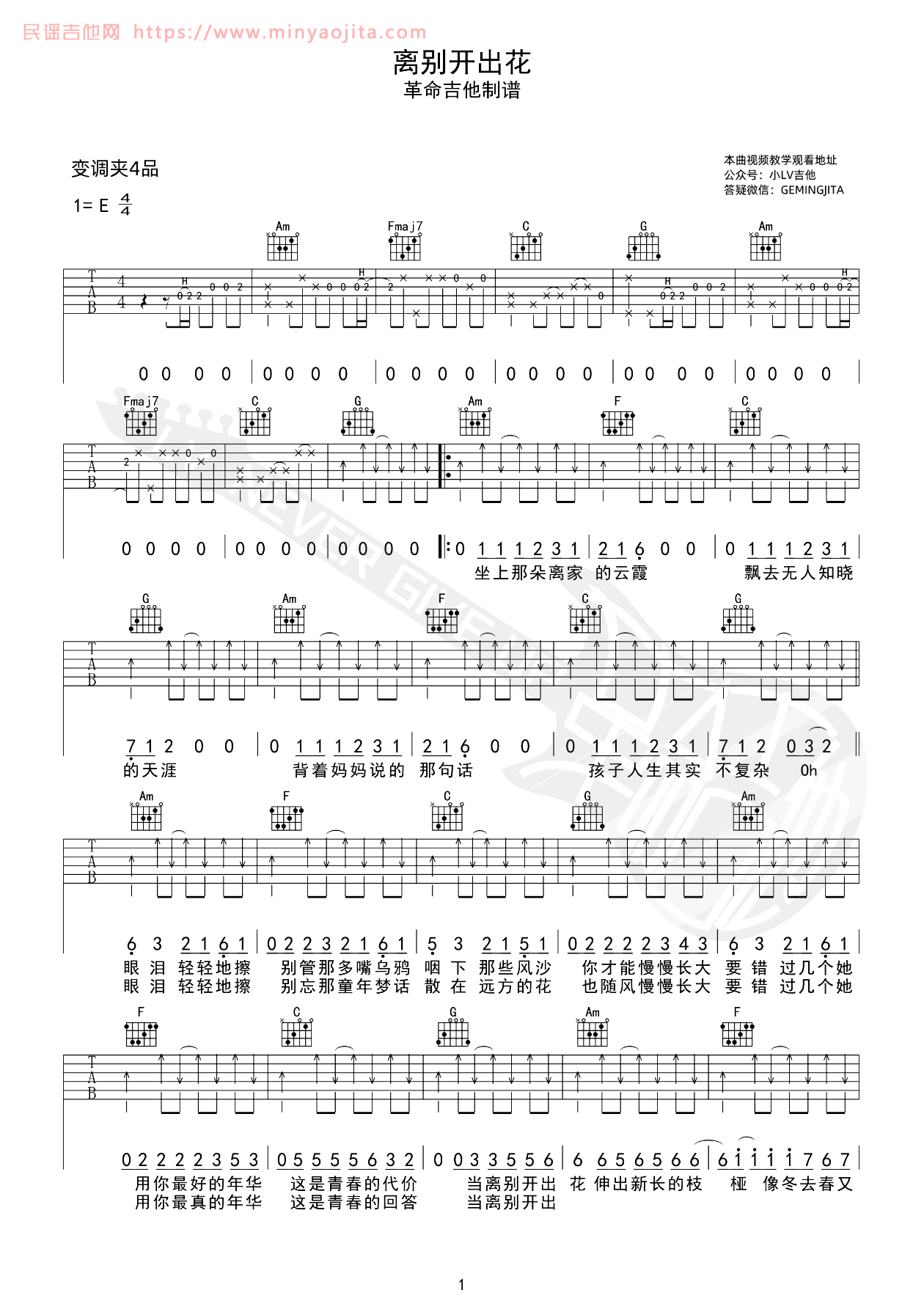 离别开出花吉他谱1