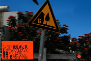 离别开出花吉他谱_就是南方凯_E调原版编配吉他弹唱谱