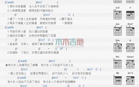 有太多人吉他谱 D调和弦谱_木木吉他编配_高进