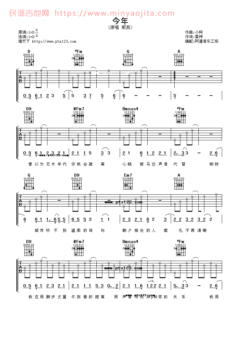 今年吉他谱 D调女生版_阿潘音乐工场编配_那英