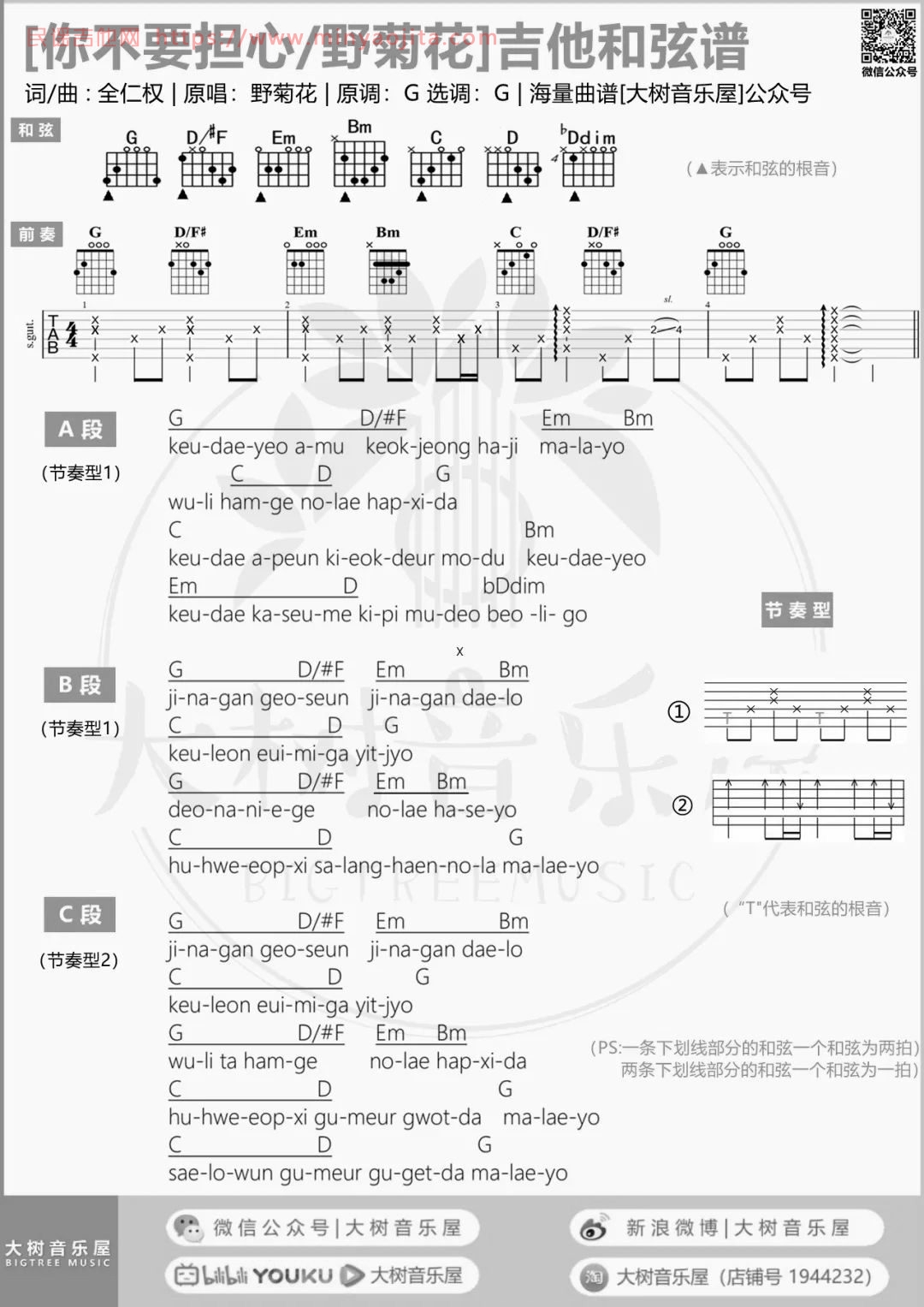 你不要担心吉他谱 G调原版_野菊花乐队_原调不夹